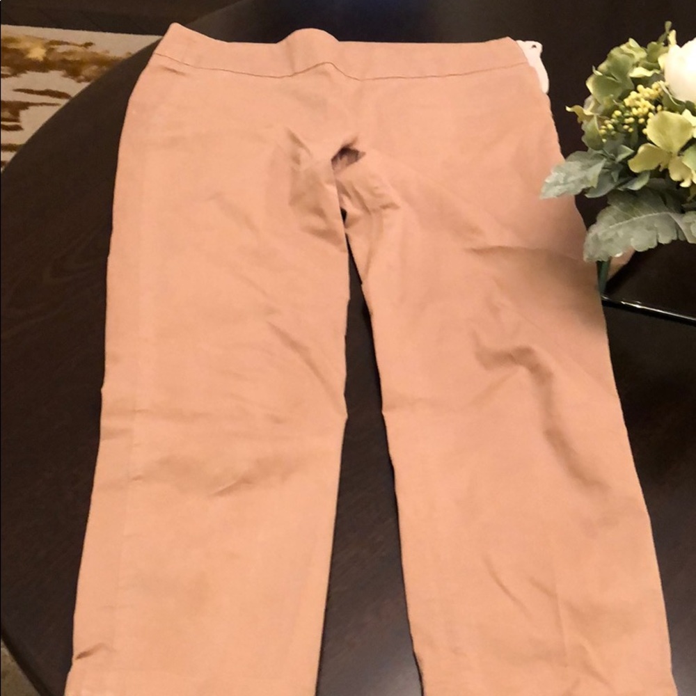 Beautiful designer pants